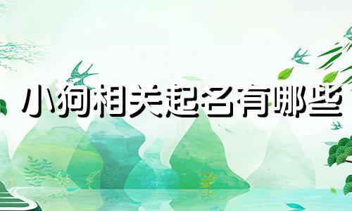 小狗相关起名有哪些