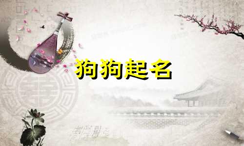 狗狗起名 禁忌有哪些呢