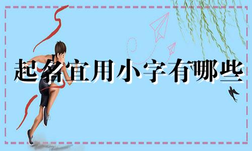 起名宜用小字有哪些