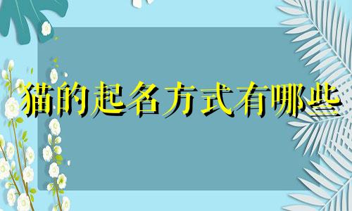 猫的起名方式有哪些