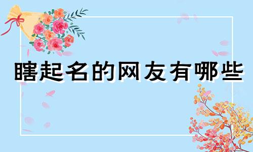 瞎起名的网友有哪些