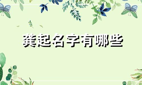 龚起名字有哪些