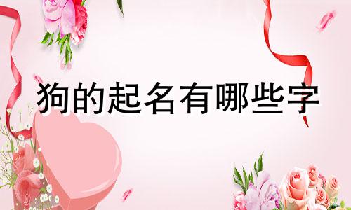 狗的起名有哪些字