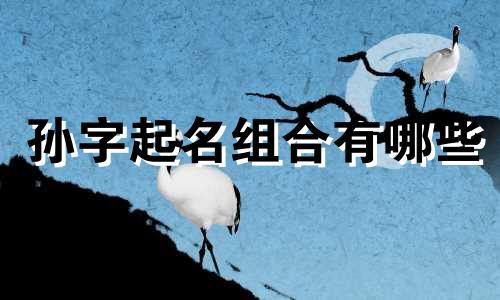 孙字起名组合有哪些