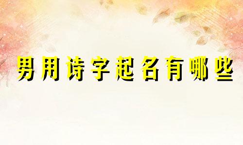 男用诗字起名有哪些