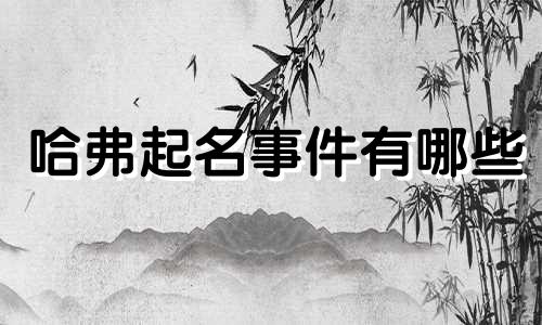 哈弗起名事件有哪些