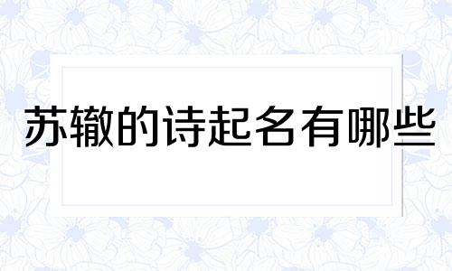 苏辙的诗起名有哪些