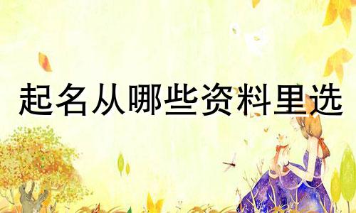 起名从哪些资料里选