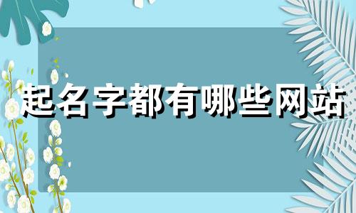 起名字都有哪些网站