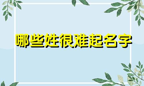 哪些姓很难起名字