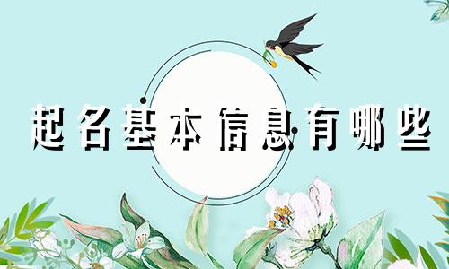 起名基本信息有哪些