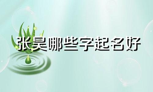 张昊哪些字起名好