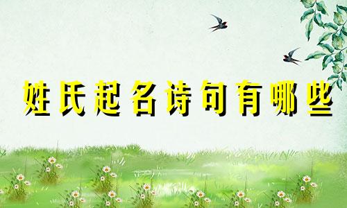 姓氏起名诗句有哪些