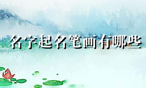 名字起名笔画有哪些