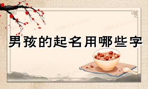 男孩的起名用哪些字