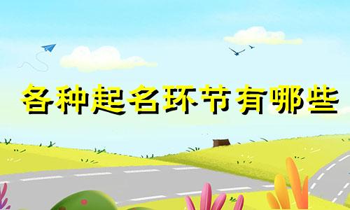 各种起名环节有哪些