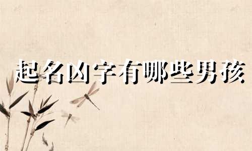 起名凶字有哪些男孩