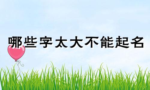 哪些字太大不能起名