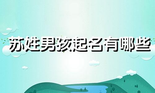 苏姓男孩起名有哪些