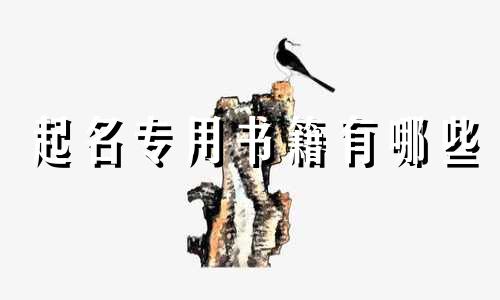 起名专用书籍有哪些