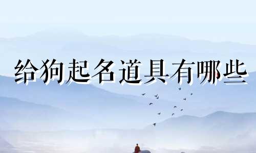 给狗起名道具有哪些