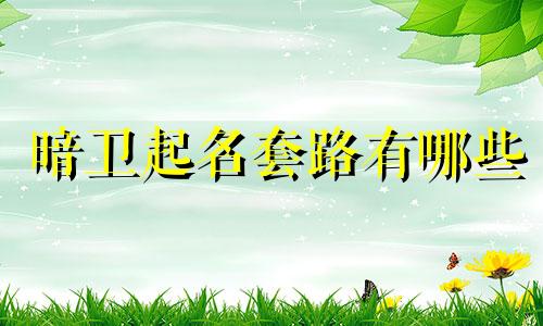 暗卫起名套路有哪些