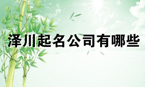 泽川起名公司有哪些