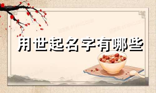 用世起名字有哪些