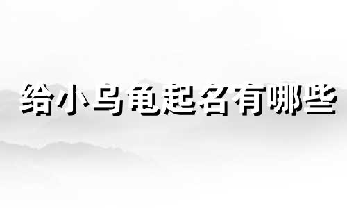 给小乌龟起名有哪些