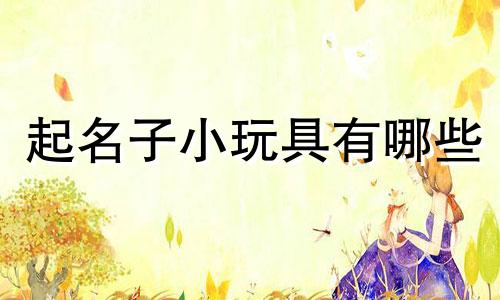 起名子小玩具有哪些