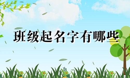 班级起名字有哪些