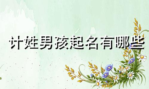 计姓男孩起名有哪些