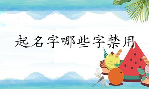 起名字哪些字禁用