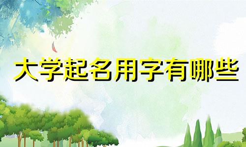 大学起名用字有哪些