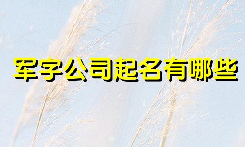 军字公司起名有哪些