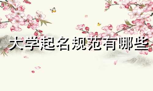 大学起名规范有哪些