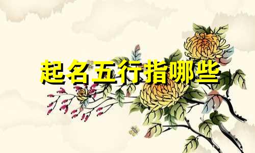 起名五行指哪些