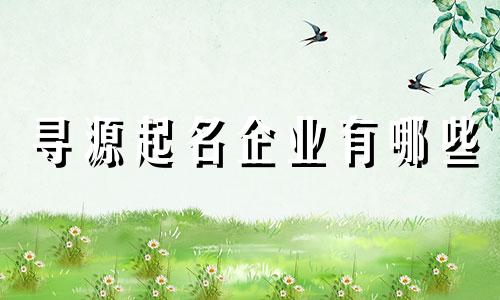 寻源起名企业有哪些
