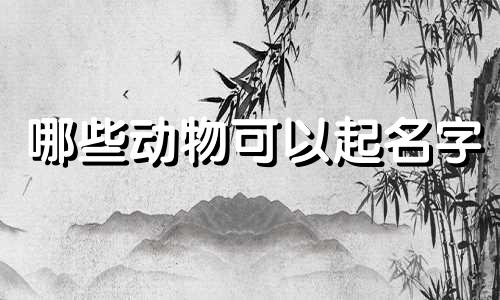 哪些动物可以起名字