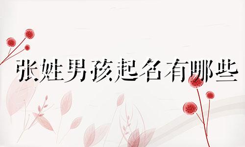 张姓男孩起名有哪些