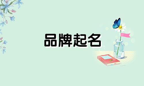 品牌起名 软件有哪些牌子