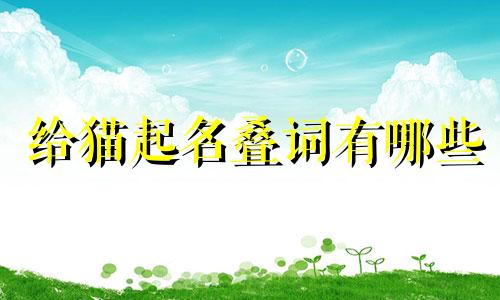 给猫起名叠词有哪些