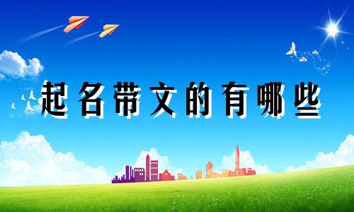 起名带文的有哪些