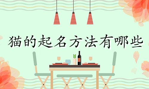 猫的起名方法有哪些
