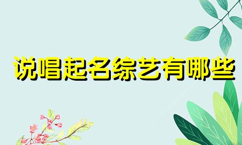 说唱起名综艺有哪些