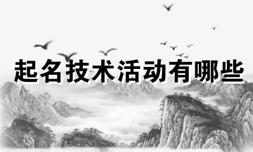 起名技术活动有哪些
