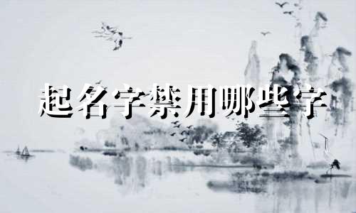 起名字禁用哪些字