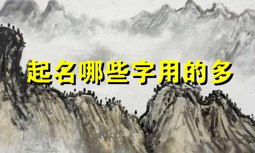 起名哪些字用的多
