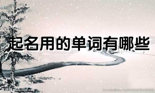 起名用的单词有哪些