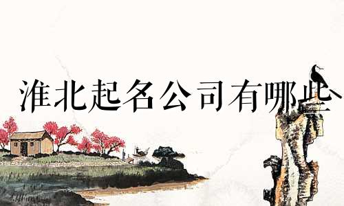 淮北起名公司有哪些